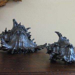 Bronze set of Conch Shells